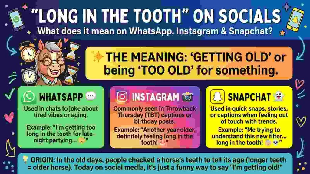 “Long in the Tooth” Meaning on WhatsApp, Instagram, and Snapchat
