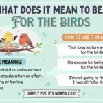 For the Birds Meaning