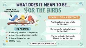 For the Birds Meaning